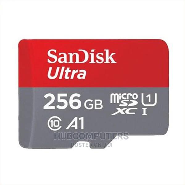 Sandisk 256gb Memory Card · Photo 2