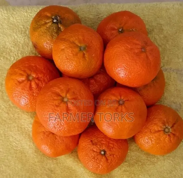 Clementine · Photo 1