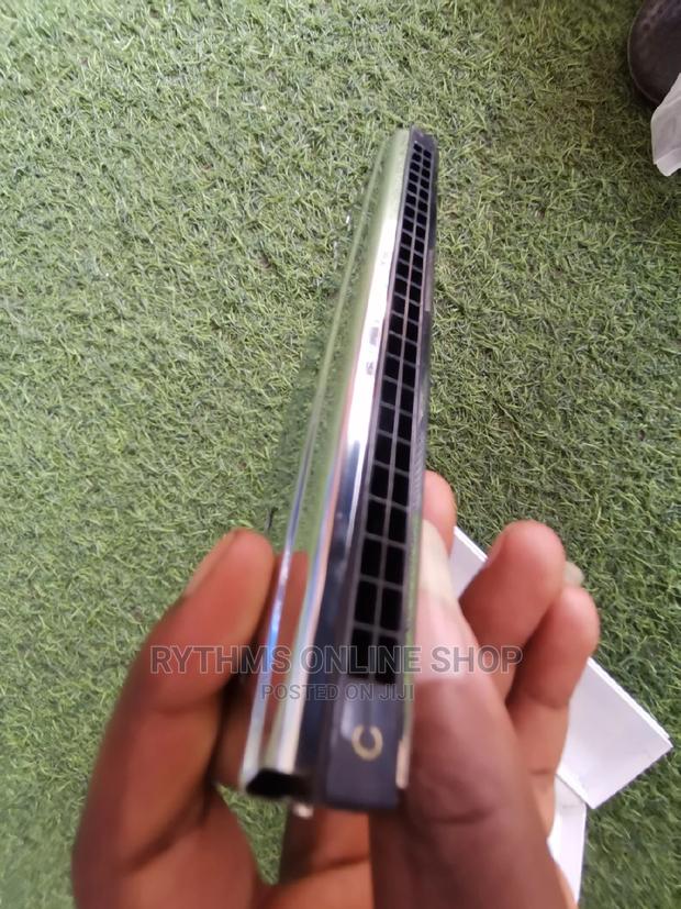 Mouth Organ Silver (Bee 48holes) · Photo 3