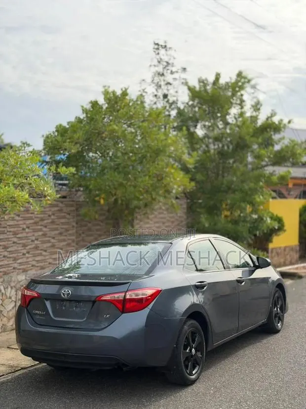 Toyota Corolla 2019 Gray · Photo 1