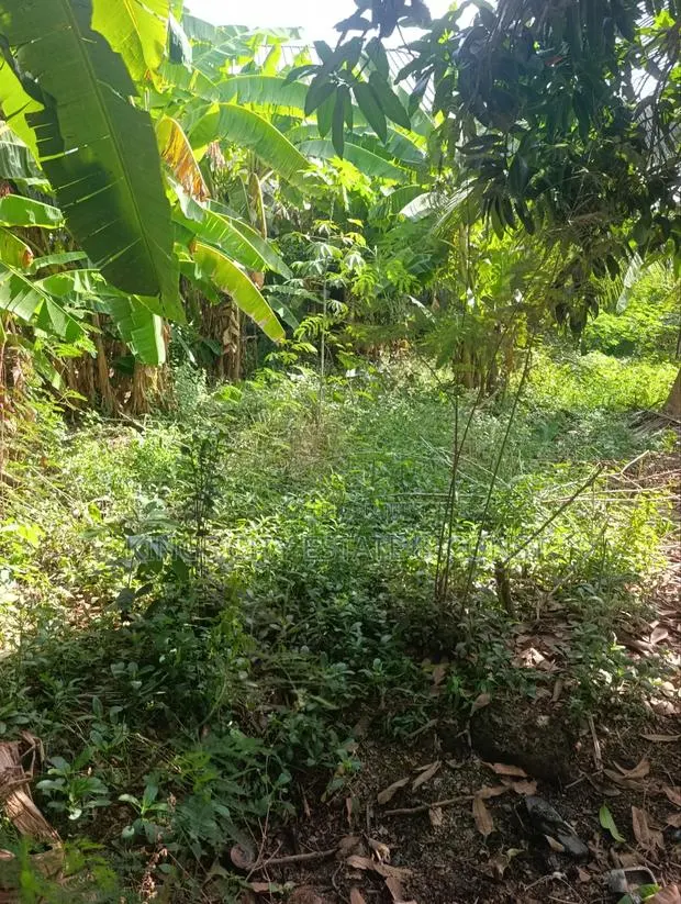 Genuine Land for Sale (Half) · Photo 1