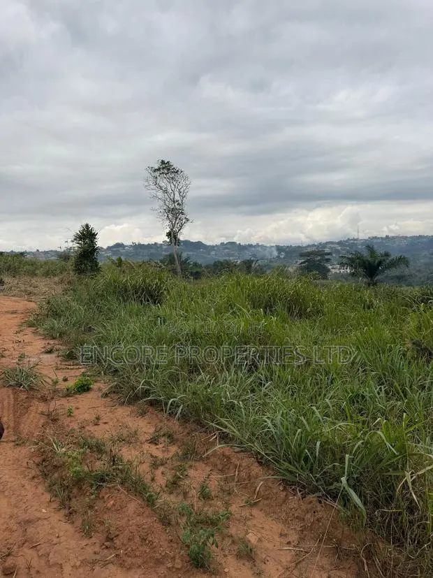 Land for Sale at Akropong · Photo 1