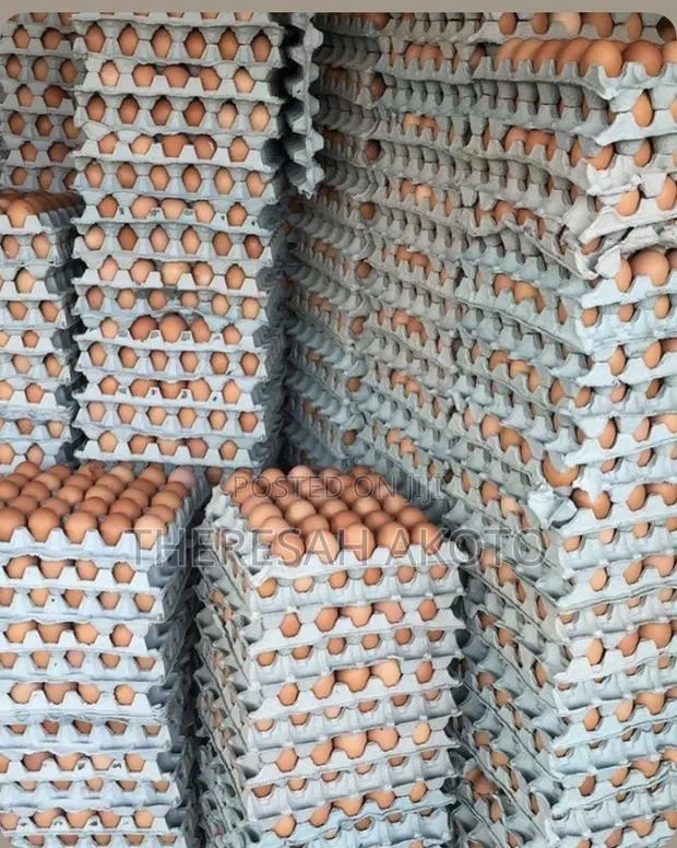 Fresh Eggs · Photo 4