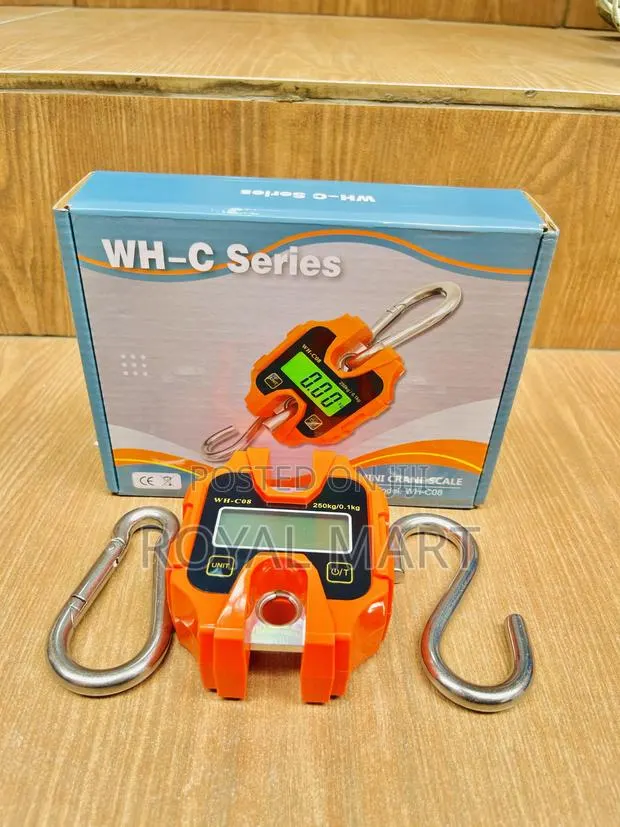 Crane Scale 250kg · Photo 1