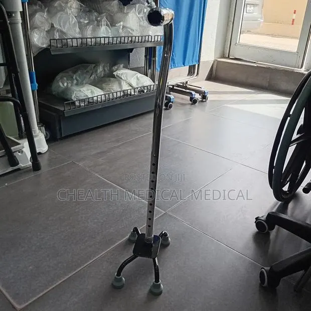 Qatar Cane · Photo 1