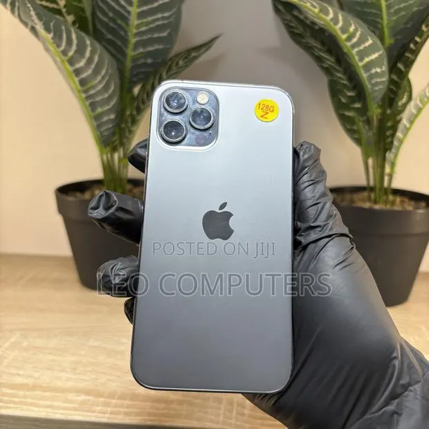 Apple iPhone 12 Pro Max 256 GB Gray · Photo 1