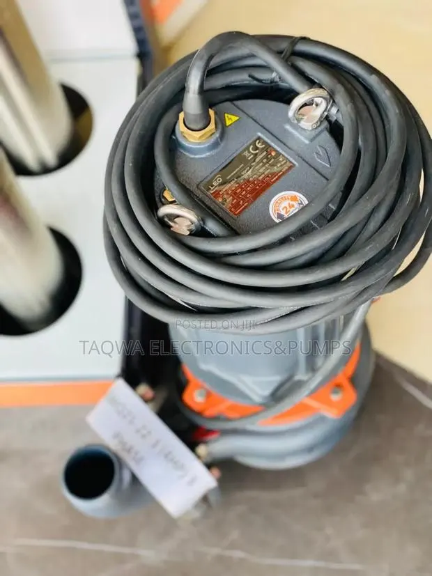 Typically 4hp Sewage Pump, Leo Submersible Sewage Pump · Photo 1
