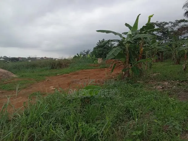 Plot of Land Asuofua Asaaman · Photo 3