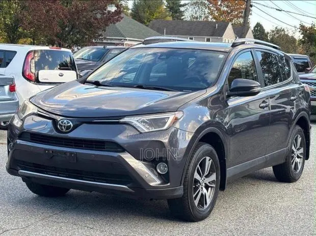 Toyota RAV4 XLE AWD (2.5L 4cyl 6A) 2017 Gray · Photo 1