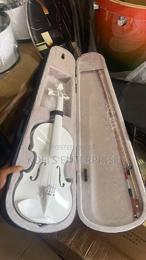 Professional Violin · Photo 1