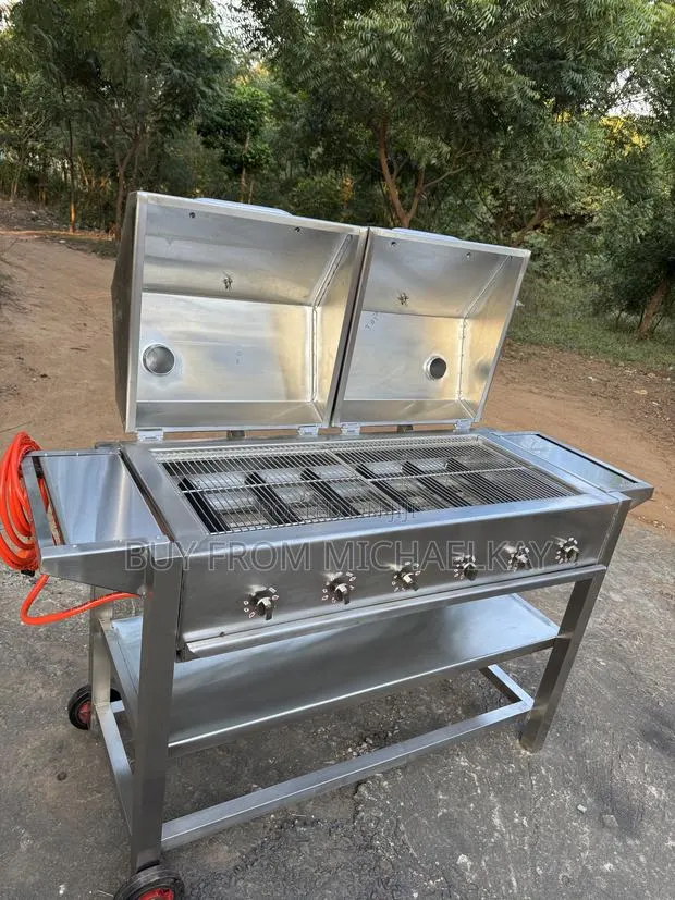 Stainless Gas Grill · Photo 1