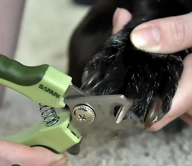 Dog Nail Clippers · Photo 1