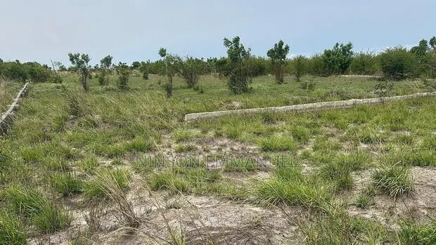 6 Plots TOGETHER -Dawhenya-Tsopoli Rd - 4 Mins to Central Uni · Photo 1