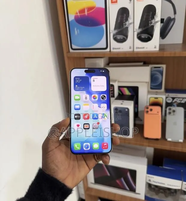 Apple iPhone 15 Pro Max 256 GB Silver