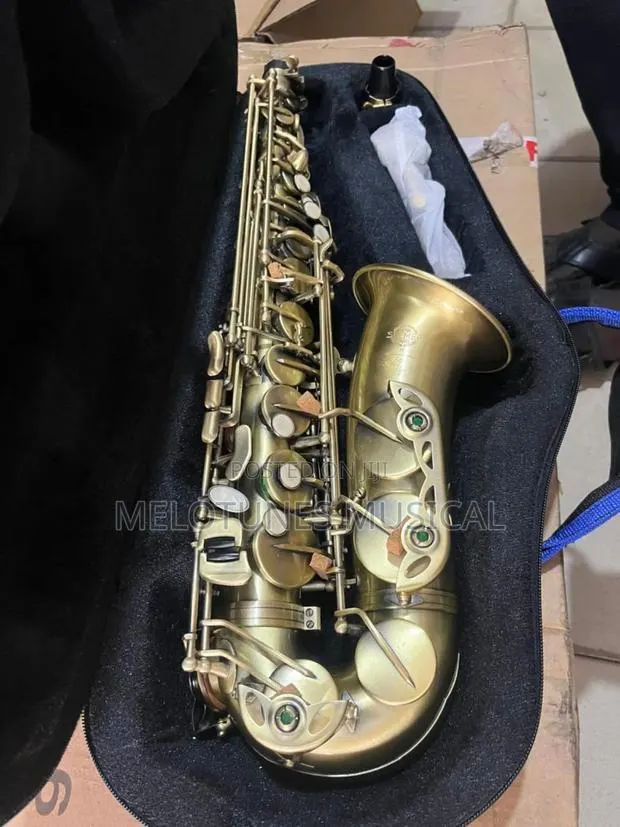 Selmer Sas-802 Alto Saxophone · Photo 1