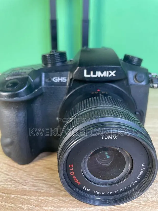 Panasonic Lumix GH5 With 14-42 MM Lens · Photo 1