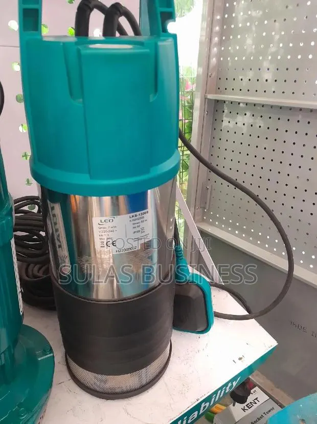 1.3 HP 52m Leo Well Pump · Photo 1