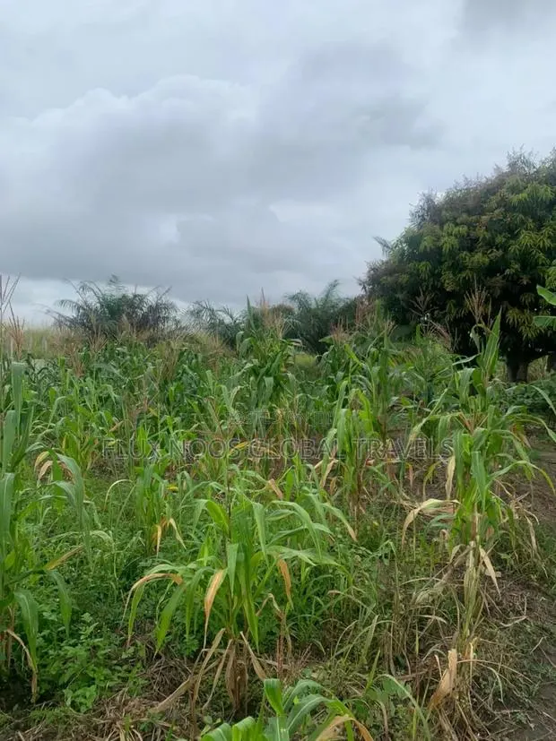 4 Walled Lands for Sale. Indenture Available · Photo 1