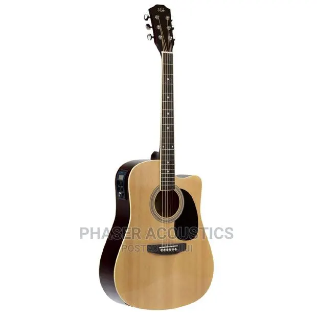 Desalvo Semi Acoustic Guitar · Photo 1