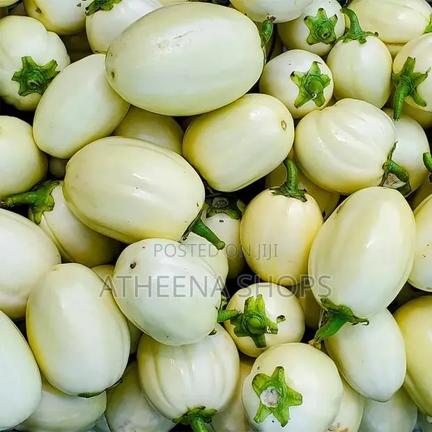 Garden Egg Seeds · Photo 1