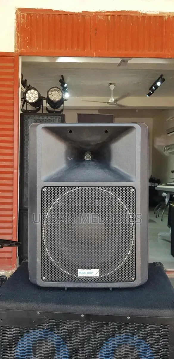 Pacive Audio Speakers Pair · Photo 1