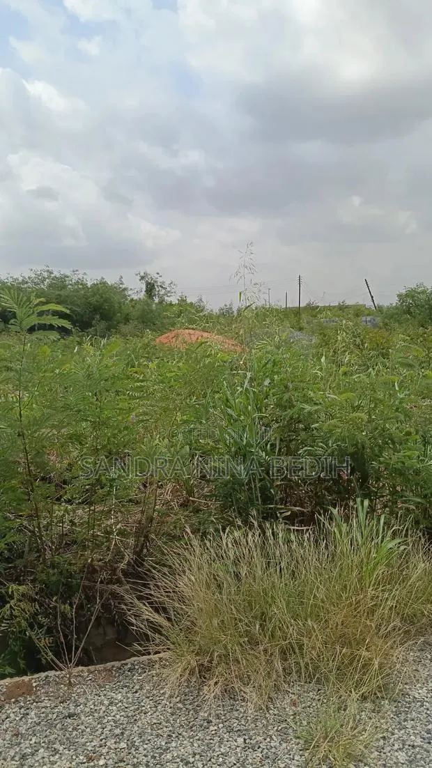 Land for Sale · Photo 1