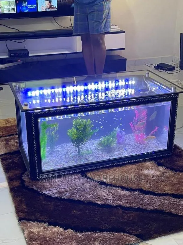 Aquarium Glass Center Table · Photo 1