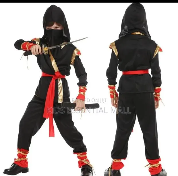 Ninja Cartoon Character Costume for Kids · Photo 1