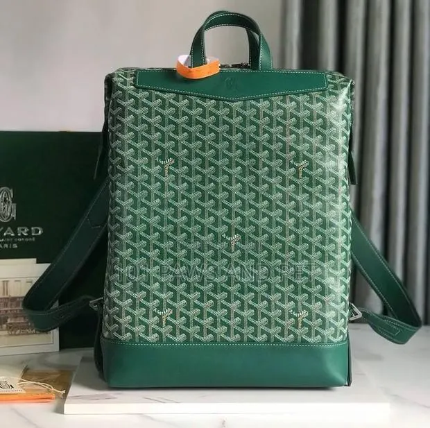 Green Goyard Backpack · Photo 1