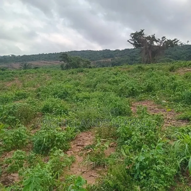 Available Land Aburi Green Hills · Photo 1