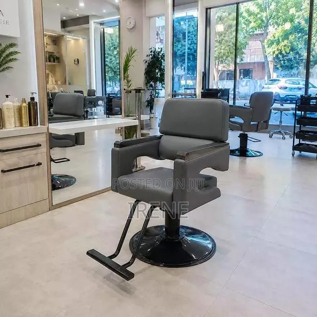 Professional Salon Chair · Photo 2
