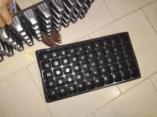 Seeding Trays · Photo 1