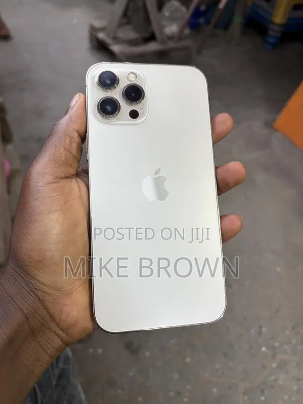 Apple iPhone 12 Pro Max 256 GB Rose Gold · Photo 1