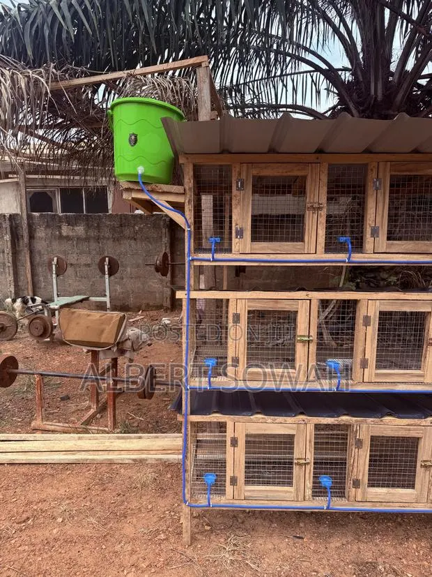 15 Rooms Modern Wooden Rabbit and Grasscutter Cage · Photo 2