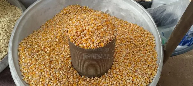 Fresh Corn · Photo 1