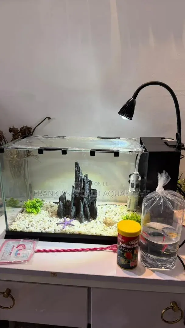 Mini Aquariums Tank