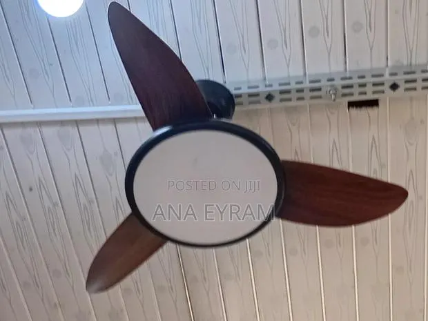 Light + Fan Blade · Photo 1