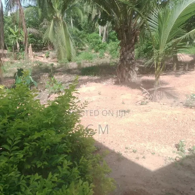 Flourish Gold Mining Concession · Photo 1