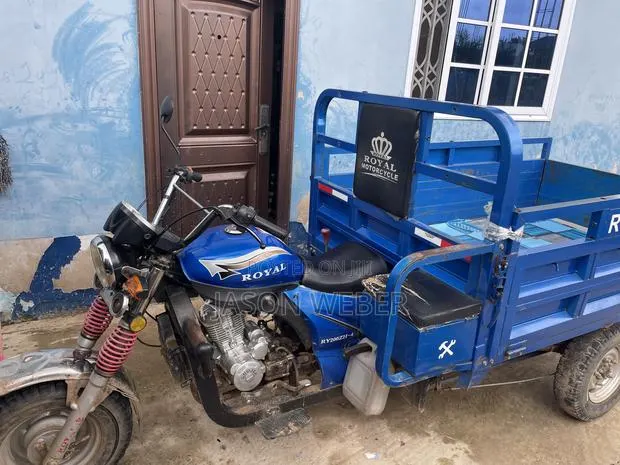 Tricycle 2025 Blue · Photo 1