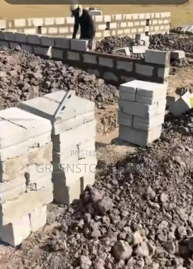 3 Plots Of Land With Footings By The Roadside Around Sege · Photo 1