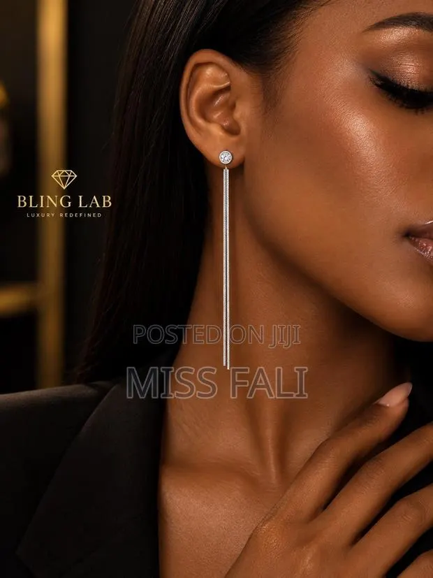 Silver Sleek Drop Earrings · Photo 1