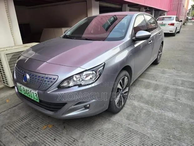 Dongfeng EV EX1 33 kW FWD 2023 Gray · Photo 1