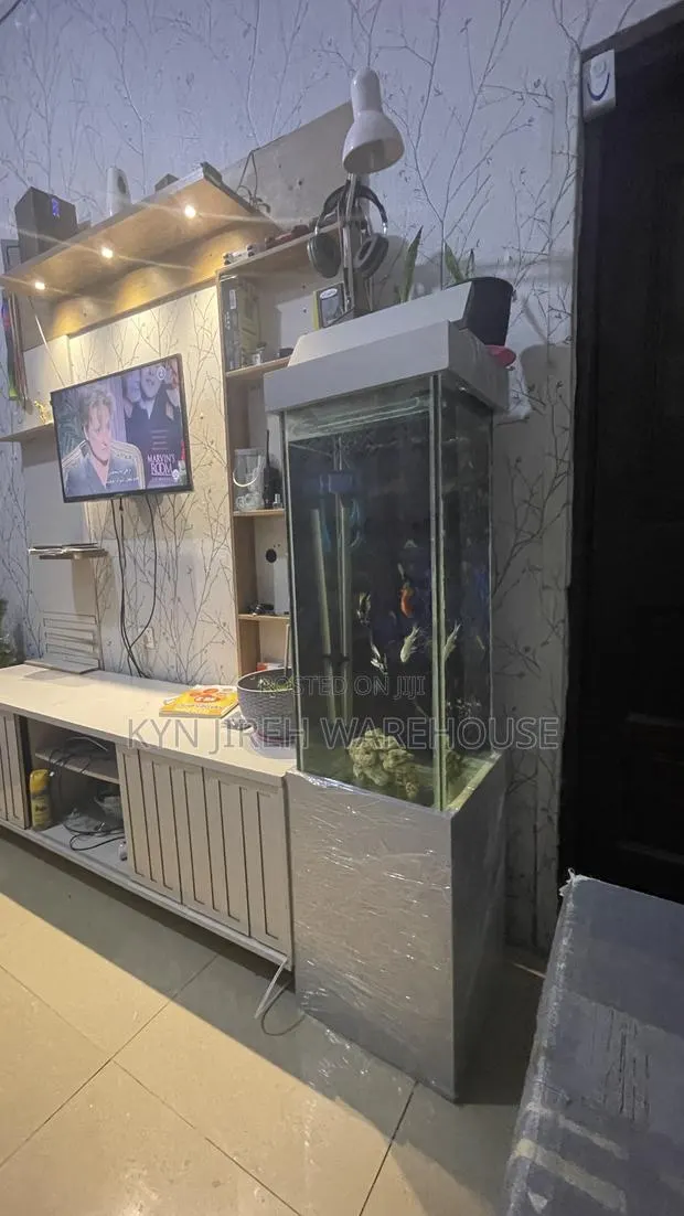 Greyhound Aquarium With 10 Fishes · Photo 1