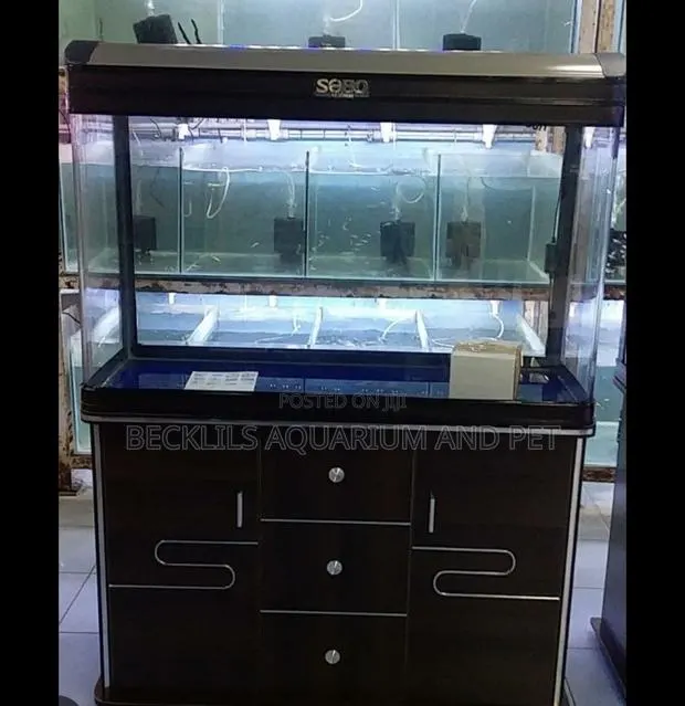 Aquarium Fish Tank · Photo 1