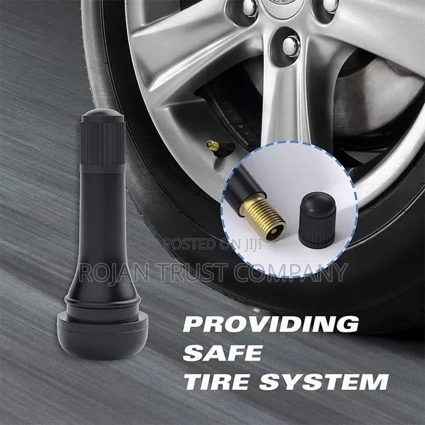 High Quality Car Tire Valve · Photo 1