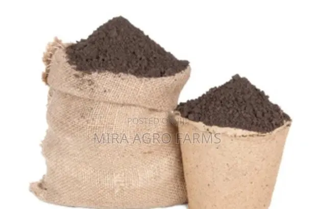 Black \ Loamy Soil · Photo 2