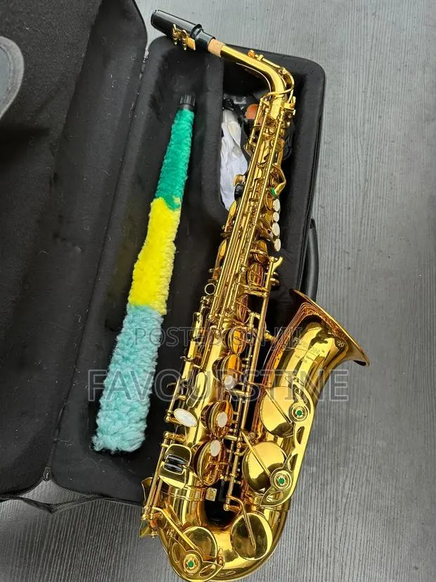 Fusion Ns110 Germany Alto Saxophone · Photo 1