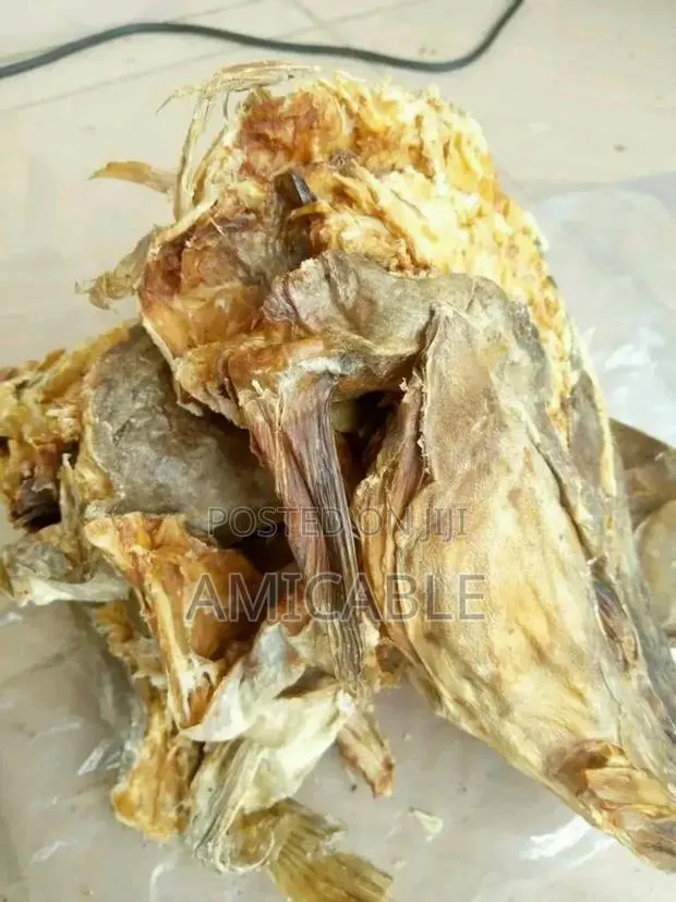 Stockfish Head · Photo 1