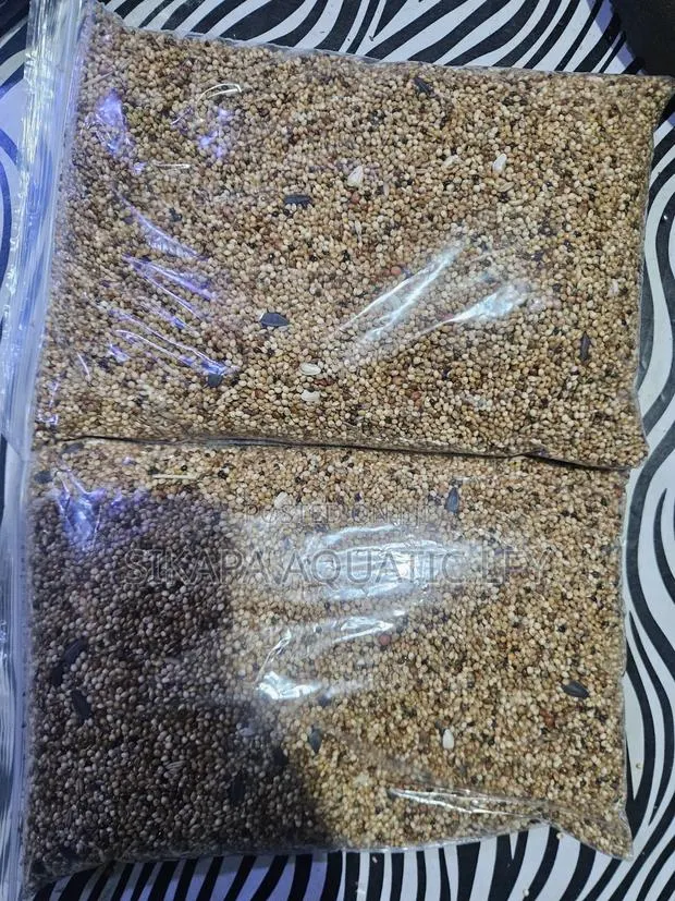Birds Feed · Photo 1