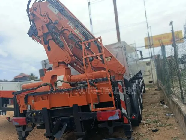 Man Deseil Crane · Photo 1